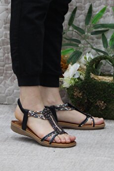 Color 201240536