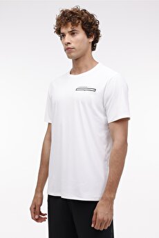 Color 101643695