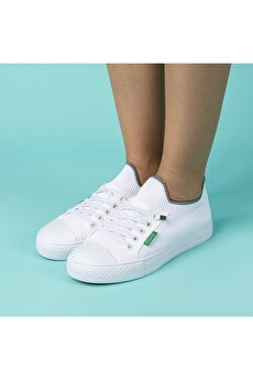 Color 201282329