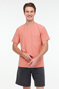 Color 101908694