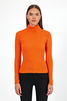 Color 201342200