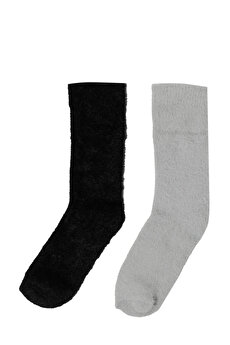 Color 101925947