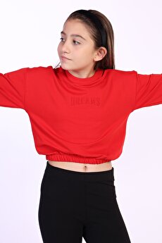 Color 201362503