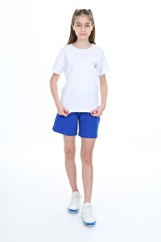 Color 201415293