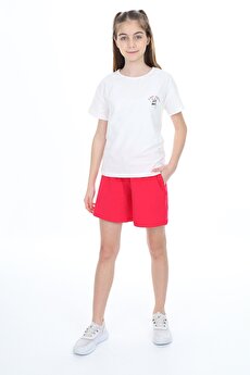 Color 201415293