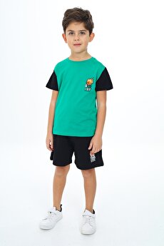 Color 201415372