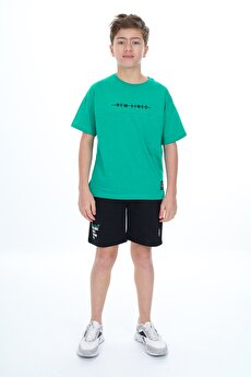 Color 201415377