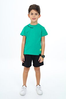 Color 201415378