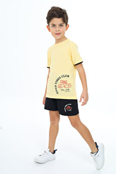 Color 201415383