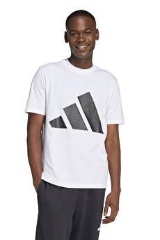 Color 102231524