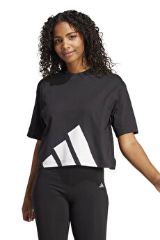 Color 102233146