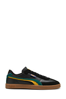 Color 102236346