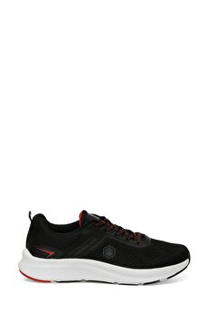 Color 102033341