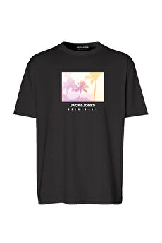 Color 102262805