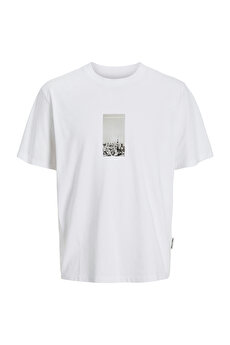 Color 102262800