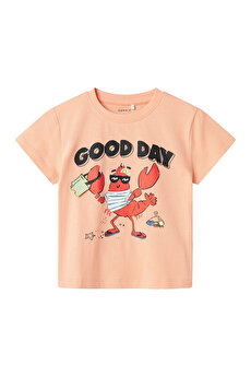 Color 102263544