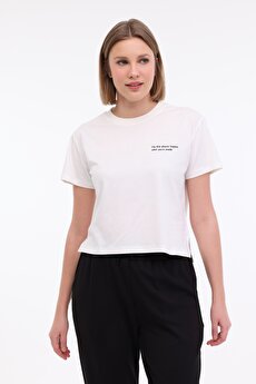 Color 101931824