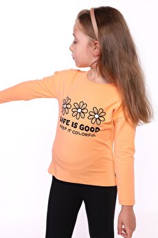 Color 201453829