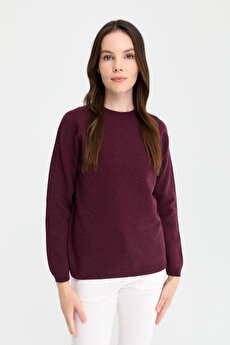 Color 201111804