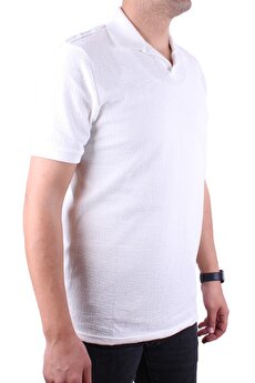 Color 201462220