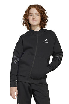Color 102231586