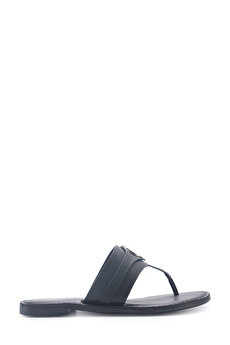 Color 102015497