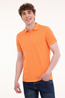 Color 101938973