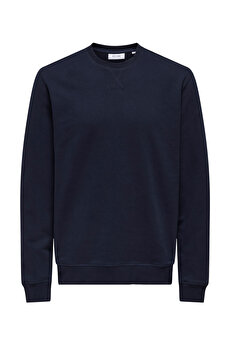 Color 102263581