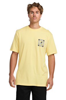 Color 102277895