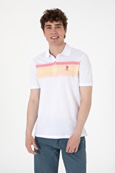 Color 201524241