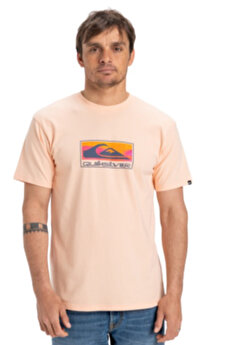 Color 102115090