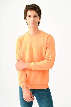 Color 201480052