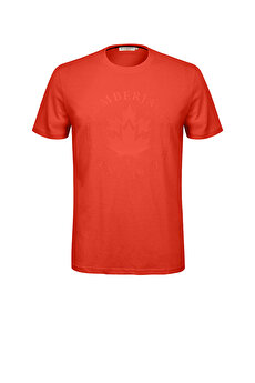 Color 102067700