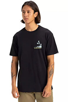 Color 102115149