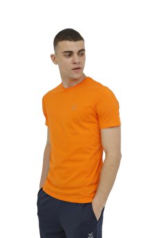 Color 101349651