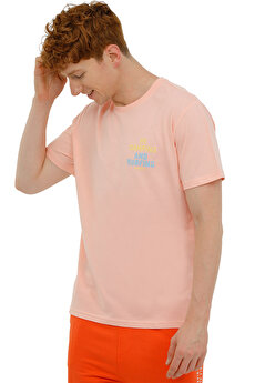 Color 101361031