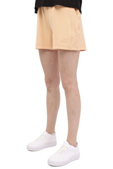 Color 101698170