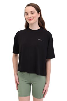Color 101983466