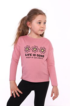 Color 201453829