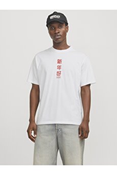 Jack Jones Jorsnake Tee Ss Crew Neck Tg Ln Erkek Beyaz/dragon