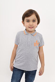 Color 201554239