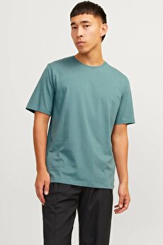 Color 201543895