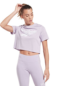 Color 101474893