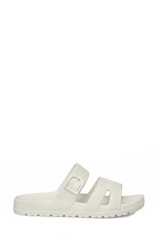 Color 102689755