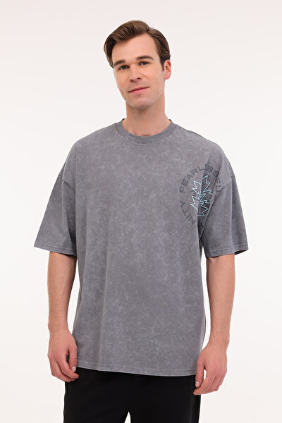 Lumberjack ML LEVI 12FL-08 5FX A ANTRASIT Erkek Kısa Kol T-Shirt