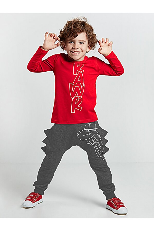 Denokids Tırtır Erkek Çocuk T-shirt Pantolon Takım