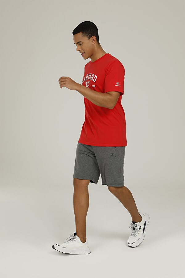 Lumberjack Ct103 Basic Short 2Fx Серый 002 Мужчина Шорты