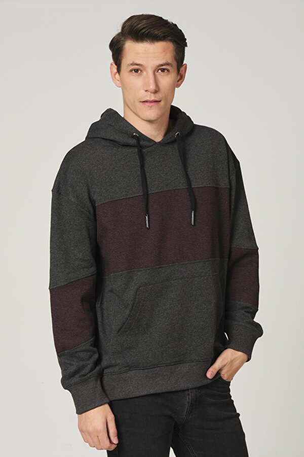 Alexander Gardi ALEXANDERGARDI KAPÜŞONLU SWEATSHİRT (E21-5504)