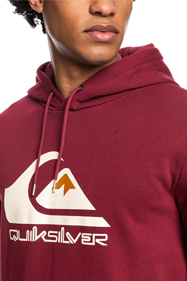EQYFT04450 Big Logo Hoodie Erkek Sweatshirt Fiyatlar Flo