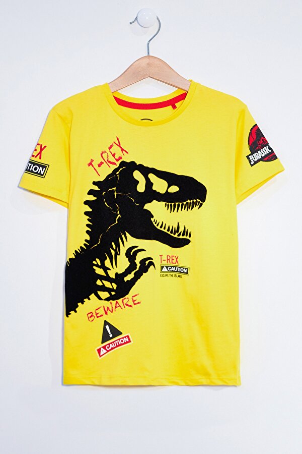 Cansın Mini Erkek Çocuk Sarı 1-7 Yaş Kadife Dinozor Baskı T-Shirt 12272